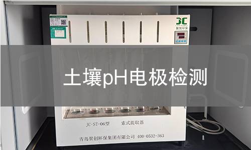 土壤pH电极检测,土壤pH电极检测机构,土壤pH电极检测报告,中析检测中心
