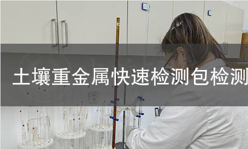土壤重金属快速检测包,土壤重金属快速检测包机构,土壤重金属快速检测包报告,中析检测中心
