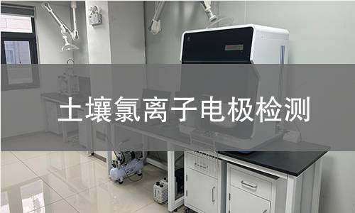 土壤氯离子电极检测,土壤氯离子电极检测机构,土壤氯离子电极检测报告,中析检测中心