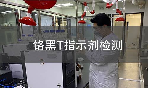 铬黑T指示剂检测,铬黑T指示剂检测机构,铬黑T指示剂检测报告,中析研究所检测中心