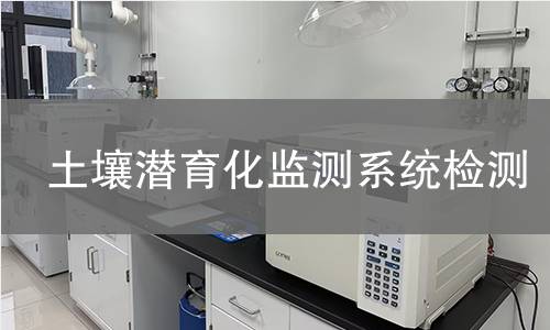 土壤潜育化监测系统检测,土壤潜育化监测系统检测机构,土壤潜育化监测系统检测报告,中析检测中心