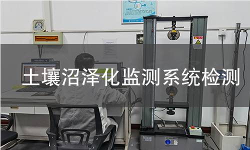 土壤沼泽化监测系统检测,土壤沼泽化监测系统检测机构,土壤沼泽化监测系统检测报告,中析检测中心