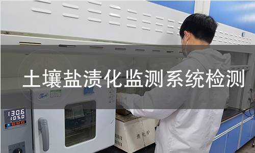 土壤盐渍化监测系统检测,土壤盐渍化监测系统检测机构,土壤盐渍化监测系统检测报告,北京中科光析科学技术研究所检测中心
