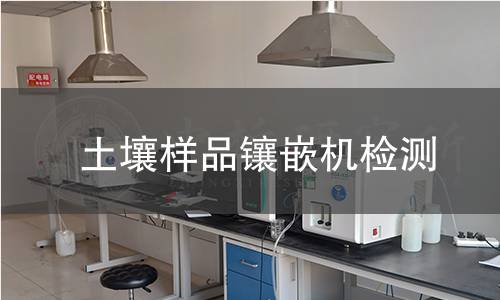 土壤样品镶嵌机检测,土壤样品镶嵌机检测机构,土壤样品镶嵌机检测报告,中析检测中心