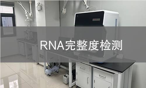 RNA完整度检测,RNA完整度检测机构,RNA完整度检测报告,中析研究所检测中心