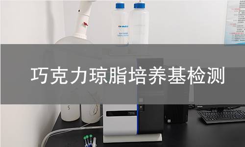 巧克力琼脂培养基检测
