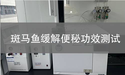 斑马鱼缓解便秘功效测试,斑马鱼缓解便秘功效测试机构,斑马鱼缓解便秘功效测试报告,北京中科光析科学技术研究所检测中心