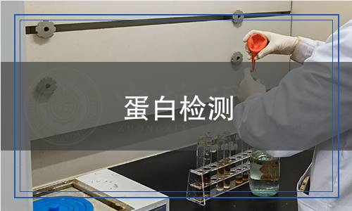 蛋白检测,蛋白检测报告