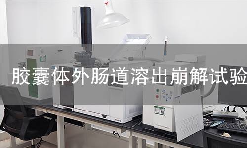胶囊体外肠道溶出崩解试验,胶囊体外肠道溶出崩解试验机构,胶囊体外肠道溶出崩解试验报告,中析研究所检测中心