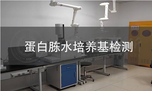 蛋白胨水培养基检测