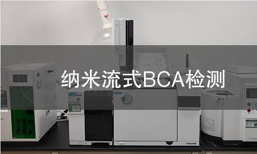 纳米流式BCA检测,纳米流式BCA检测机构,纳米流式BCA检测报告,北京中科光析科学技术研究所检测中心