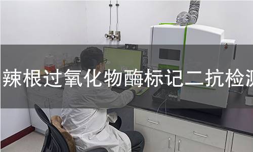 辣根过氧化物酶标记二抗检测