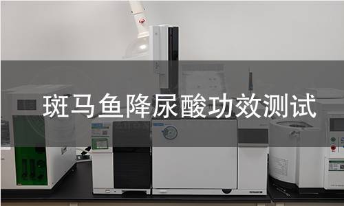 斑马鱼降尿酸功效测试,斑马鱼降尿酸功效测试机构,斑马鱼降尿酸功效测试报告,北京中科光析科学技术研究所检测中心