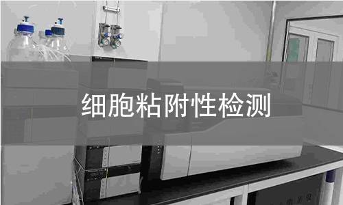 细胞粘附性检测,细胞粘附性检测机构,细胞粘附性检测报告,中析检测中心