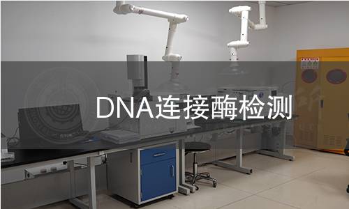 DNA连接酶检测,DNA连接酶检测机构,DNA连接酶检测报告,北京中科光析科学技术研究所检测中心