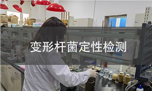 变形杆菌定性检测,变形杆菌定性检测机构,变形杆菌定性检测报告,中析检测中心