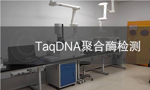 TaqDNA聚合酶检测