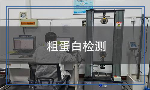 粗蛋白检测