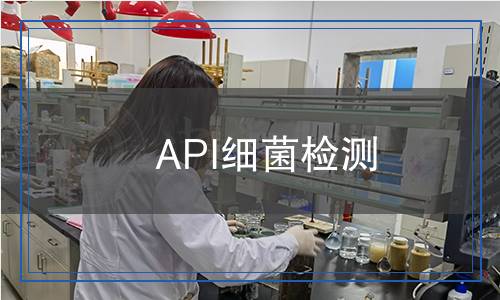 API细菌检测