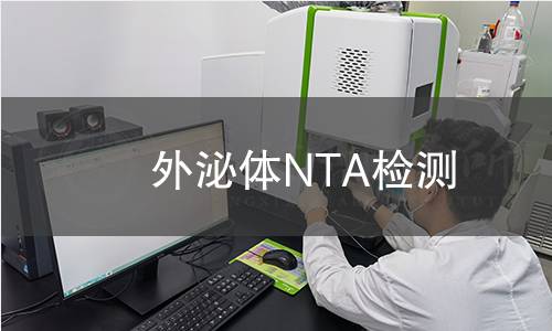 外泌体NTA检测,外泌体NTA检测机构,外泌体NTA检测报告,北京中科光析科学技术研究所检测中心