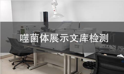 噬菌体展示文库检测