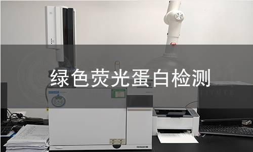 绿色荧光蛋白检测,绿色荧光蛋白检测机构,绿色荧光蛋白检测报告,中析检测中心
