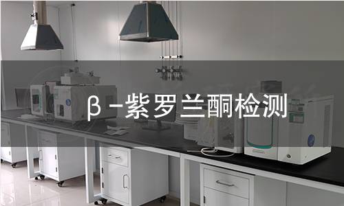 β-紫罗兰酮检测