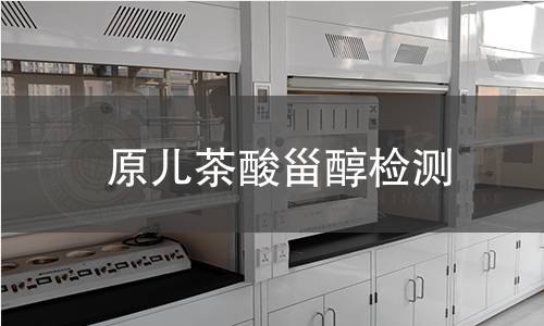 原儿茶酸甾醇检测,原儿茶酸甾醇检测机构,原儿茶酸甾醇成分分析