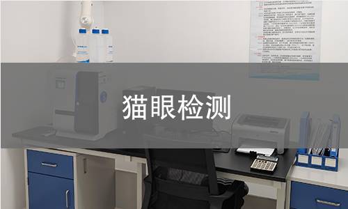 猫眼检测,猫眼检测机构,猫眼检测报告,中析检测中心
