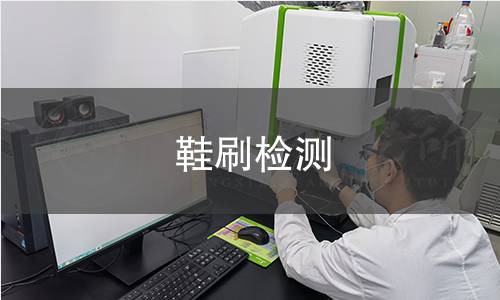 鞋刷检测,鞋刷检测机构,鞋刷检测报告,中析研究所检测中心