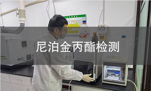 尼泊金丙酯检测,尼泊金丙酯检测机构,尼泊金丙酯检测报告,中析检测中心