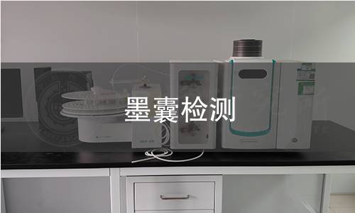 墨囊检测,墨囊检测机构,墨囊检测报告,中析检测中心