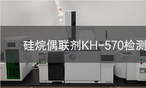 硅烷偶联剂KH-570检测