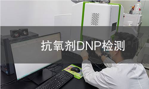 抗氧剂DNP检测,抗氧剂DNP检测机构,抗氧剂DNP检测报告,北京中科光析科学技术研究所检测中心