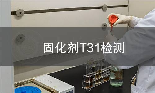 固化剂T31检测,固化剂T31检测机构,固化剂T31检测报告,北京中科光析科学技术研究所检测中心