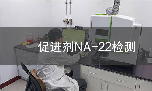 促进剂NA-22检测,促进剂NA-22检测机构,促进剂NA-22检测报告,中析研究所检测中心