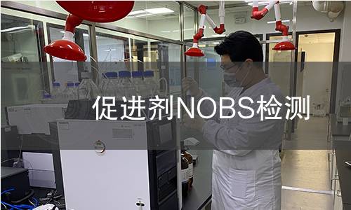 促进剂NOBS检测,促进剂NOBS检测机构,促进剂NOBS检测报告,中析研究所检测中心