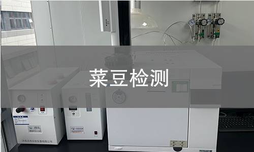 菜豆检测,菜豆检测机构,菜豆检测报告,北京中科光析科学技术研究所检测中心