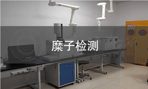 糜子检测,糜子检测机构,糜子检测报告,北京中科光析科学技术研究所检测中心