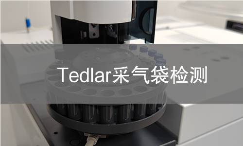 Tedlar采气袋检测