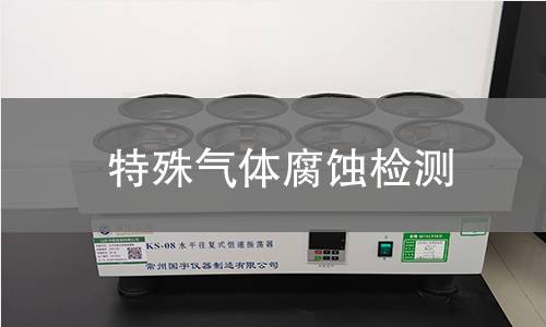 特殊气体腐蚀检测,特殊气体腐蚀检测机构,特殊气体腐蚀检测报告,中析研究所检测中心