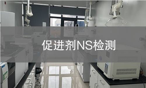 促进剂NS检测,促进剂NS检测机构,促进剂NS检测报告,北京中科光析科学技术研究所检测中心