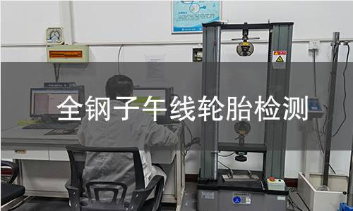 全钢子午线轮胎检测,全钢子午线轮胎检测机构,全钢子午线轮胎检测报告,中析检测中心