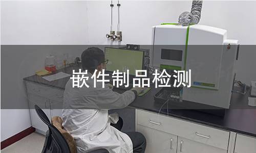 嵌件制品检测,嵌件制品检测机构,嵌件制品检测报告,中析研究所检测中心