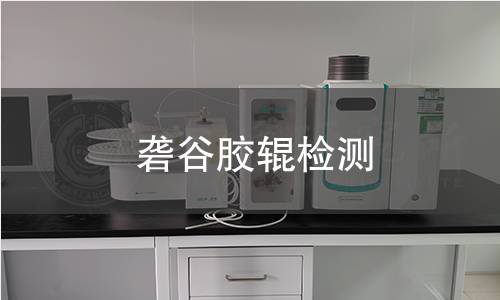 砻谷胶辊检测,砻谷胶辊检测机构,砻谷胶辊检测报告,中析研究所检测中心