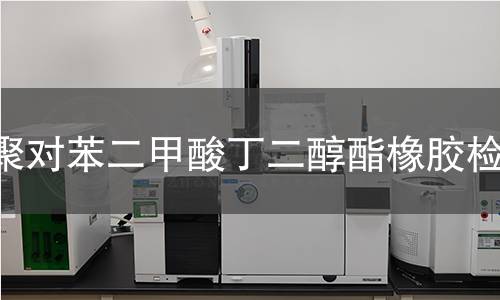 聚对苯二甲酸丁二醇酯橡胶检测,聚对苯二甲酸丁二醇酯橡胶检测机构,聚对苯二甲酸丁二醇酯橡胶检测报告,中析检测中心