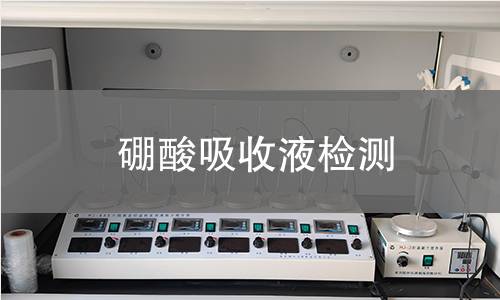 硼酸吸收液检测,硼酸吸收液检测机构,硼酸吸收液检测报告,中析检测中心