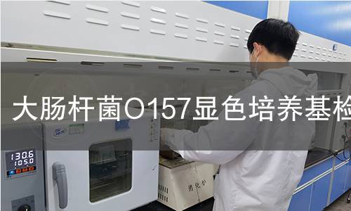 大肠杆菌O157显色培养基检测,大肠杆菌O157显色培养基检测机构,大肠杆菌O157显色培养基检测报告,中析研究所检测中心