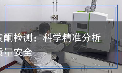 染料木黄酮检测：科学精准分析，确保质量安全