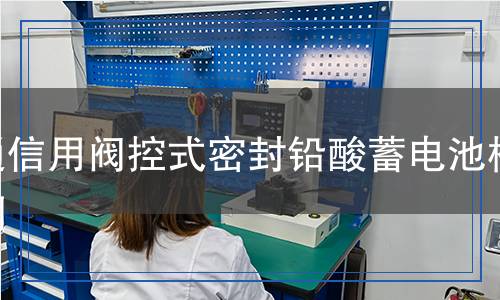 通信用阀控式密封铅酸蓄电池检测,通信用阀控式密封铅酸蓄电池检测报告